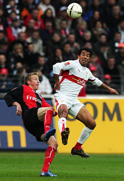 新的高峰 新的高峰